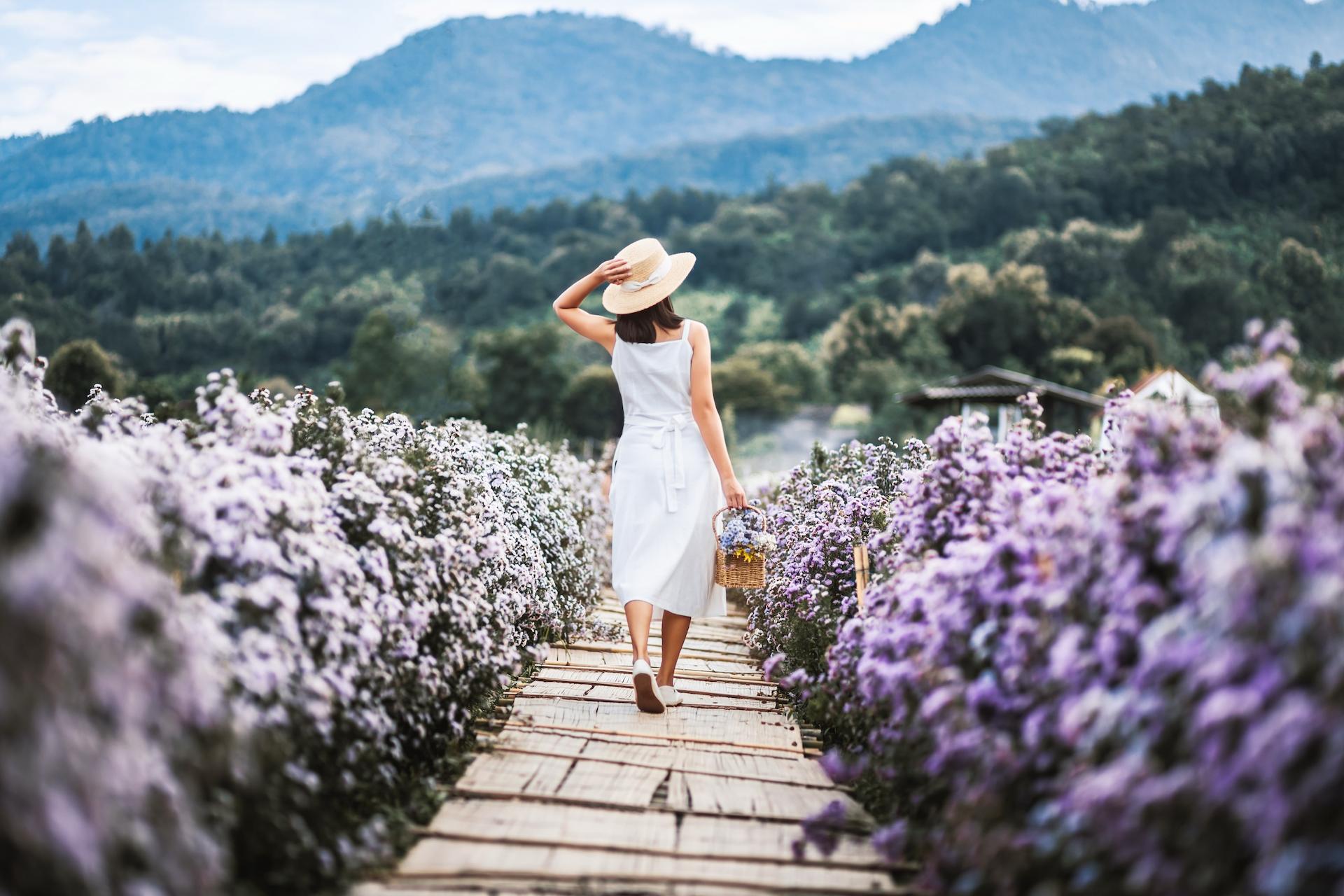 A woman in a white dress and straw hat walks along a wooden path through a field of purple flowers. Mountains and trees are visible in the background.