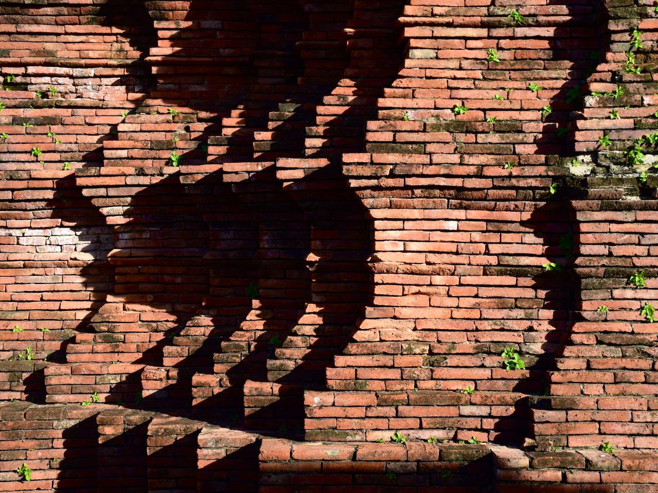 Gallery - The ART - 8