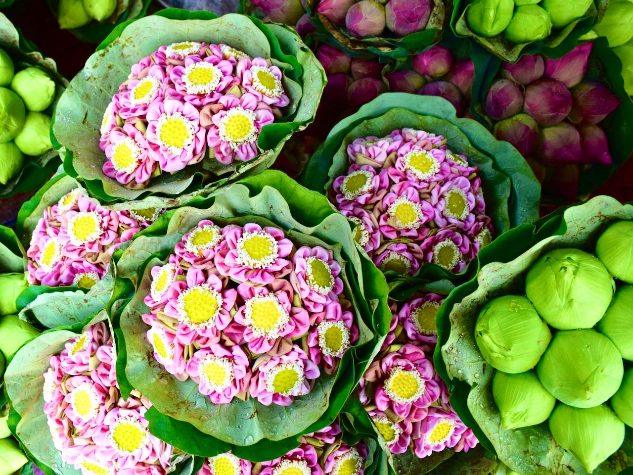 Gallery - The SHE - 2