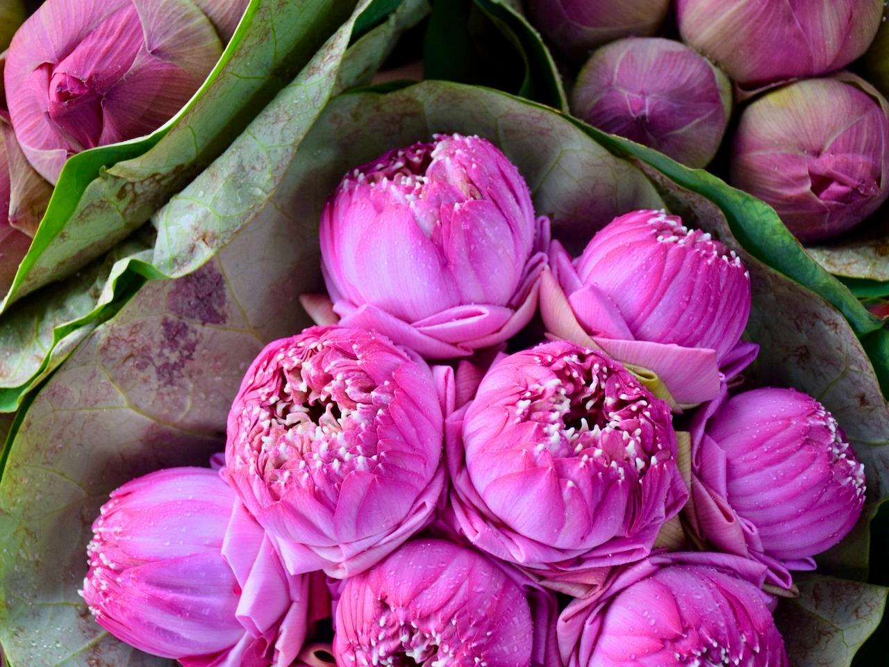 Gallery - The SHE - 6