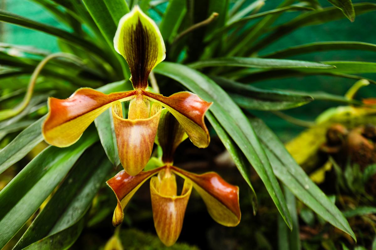 Gallery - The SHE - 9