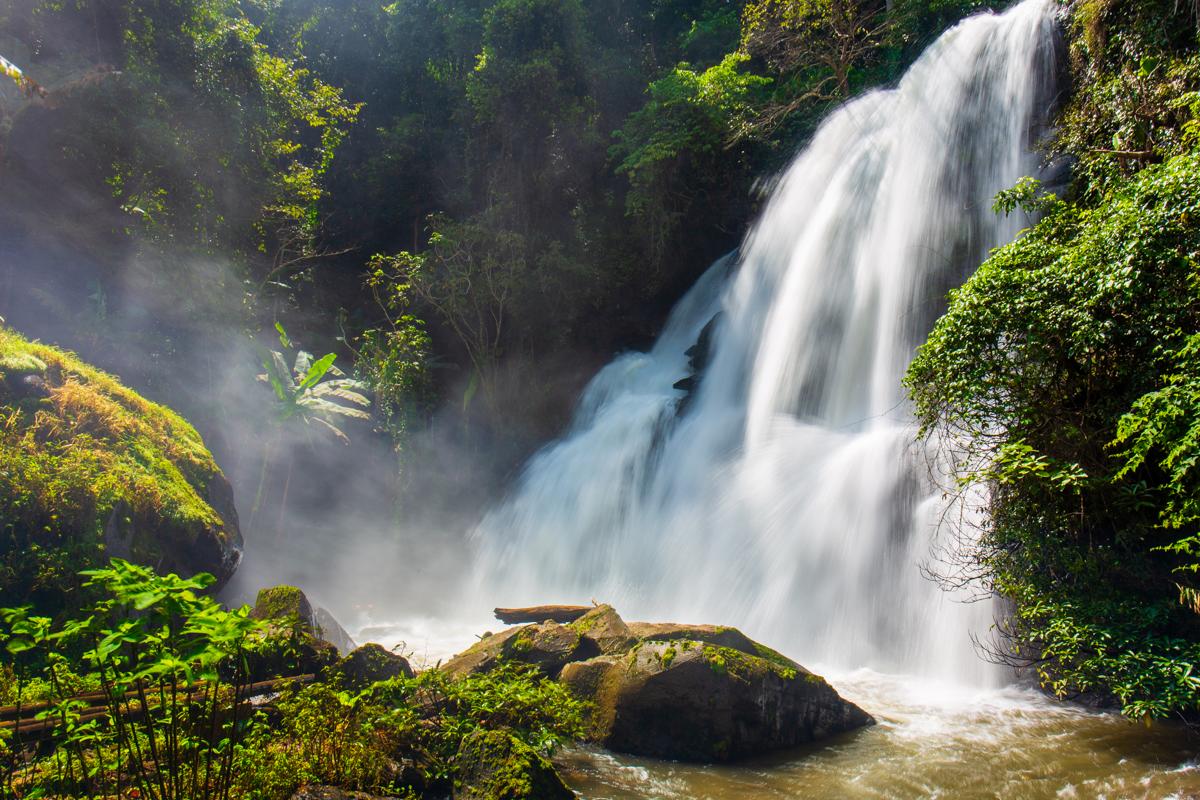 Gallery - The WILD - 3