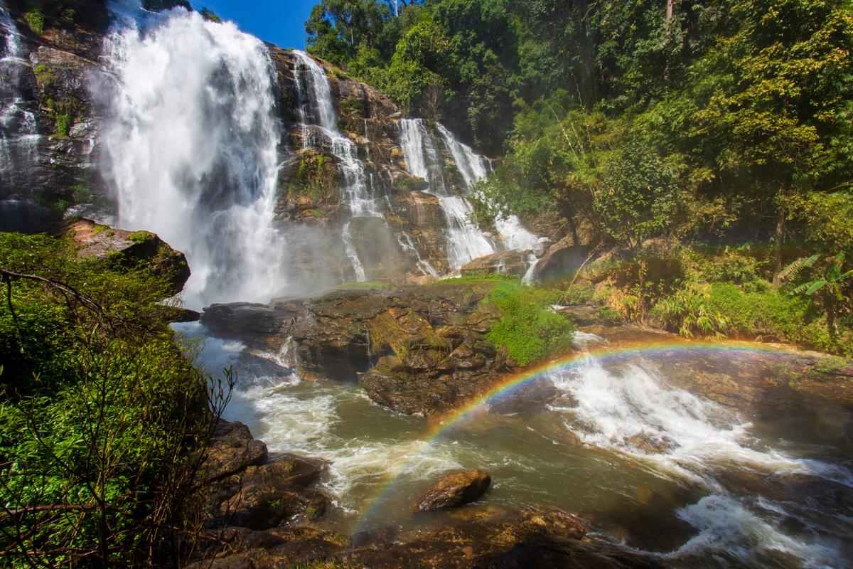 Gallery - The WILD - 7