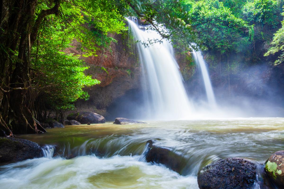 Gallery - The WILD - 8